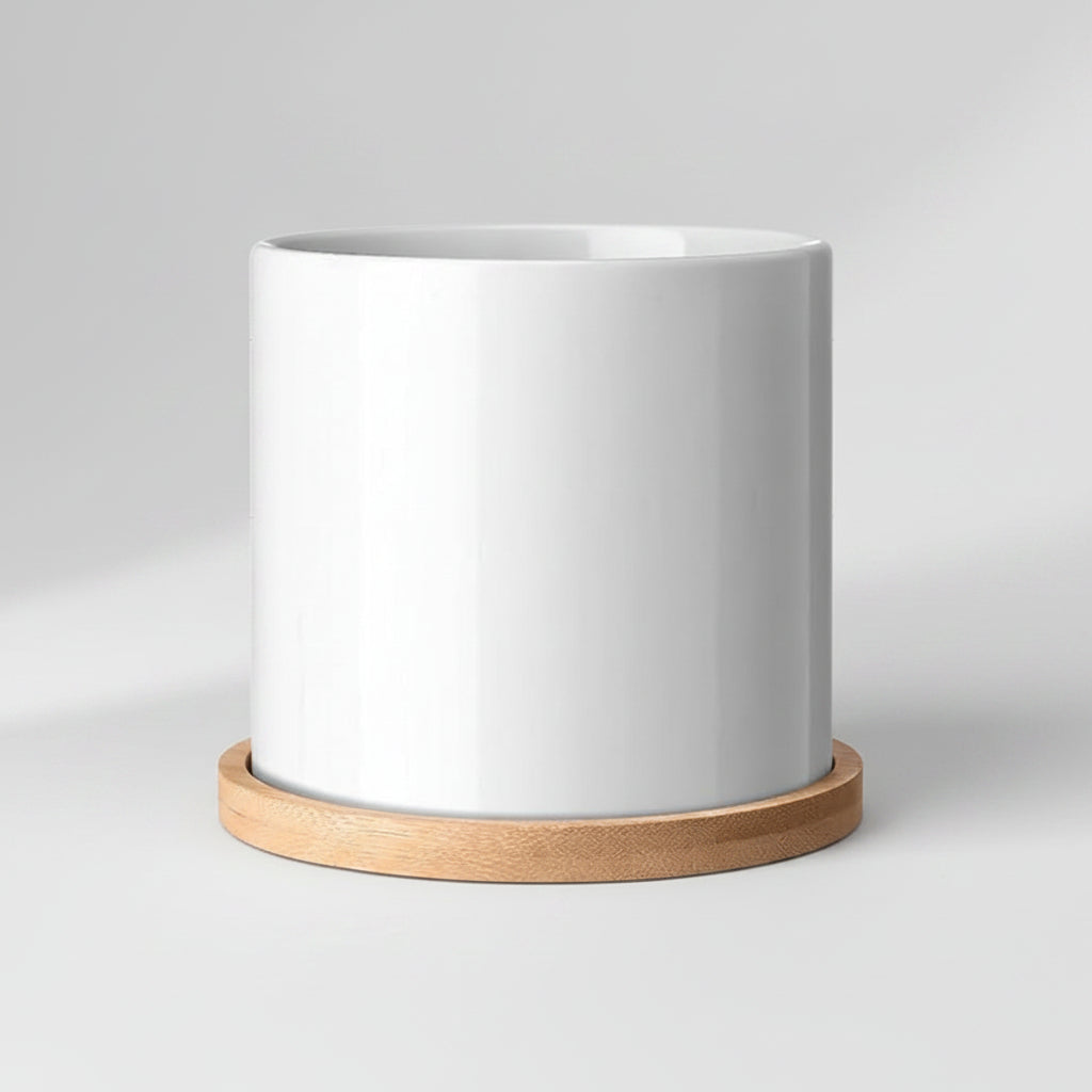 White Porcelain Succulent Pot Modern Home Gardening Ceramic.....
