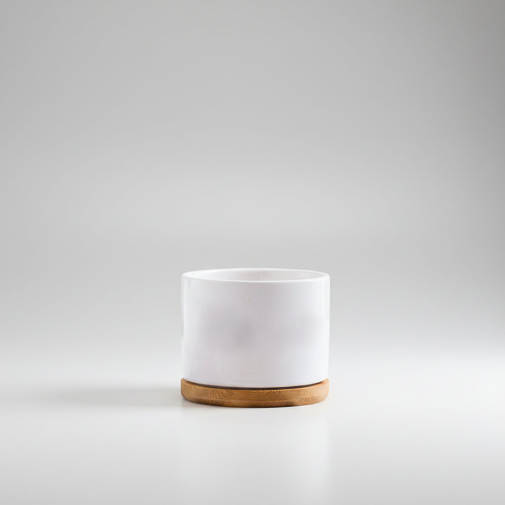 White Porcelain Succulent Pot Modern Home Gardening Ceramic..
