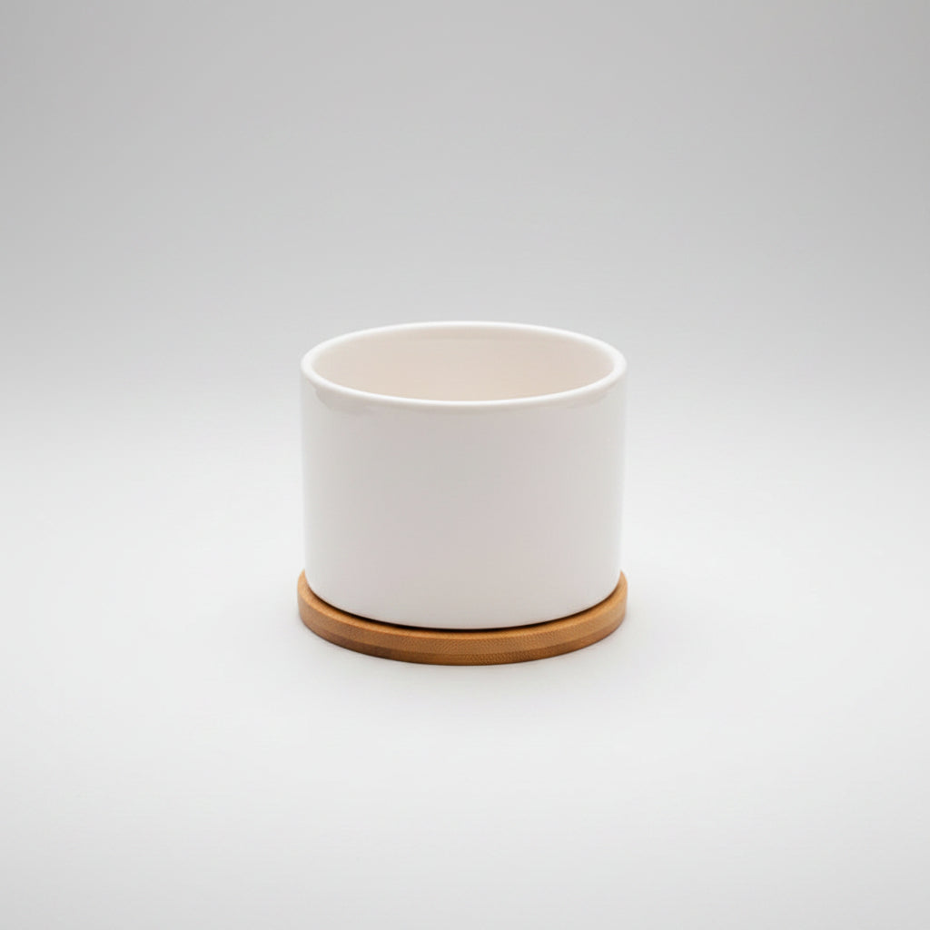 White Porcelain Succulent Pot Modern Home Gardening Ceramic.